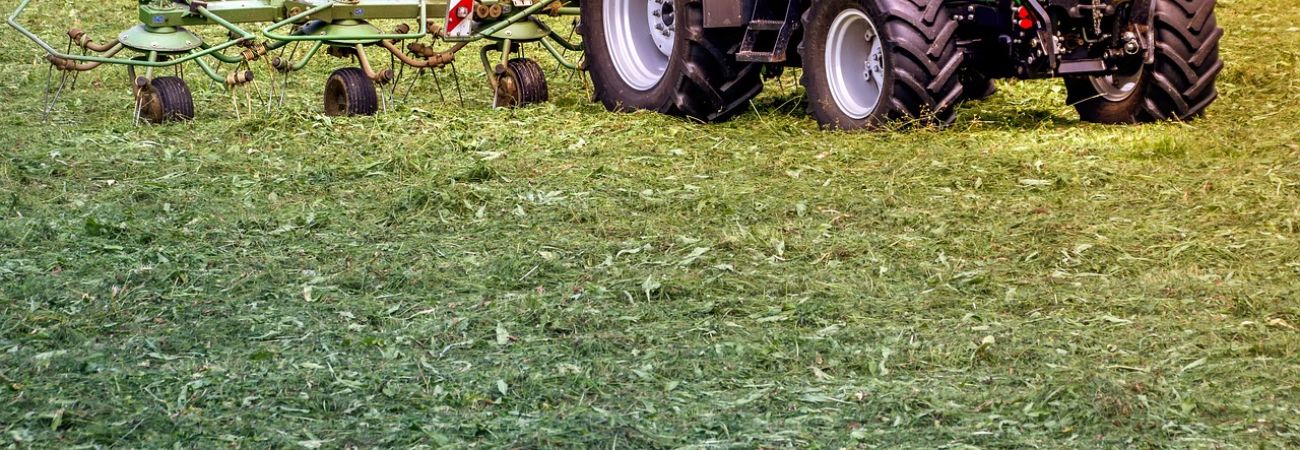 Spec. technikos stiklai